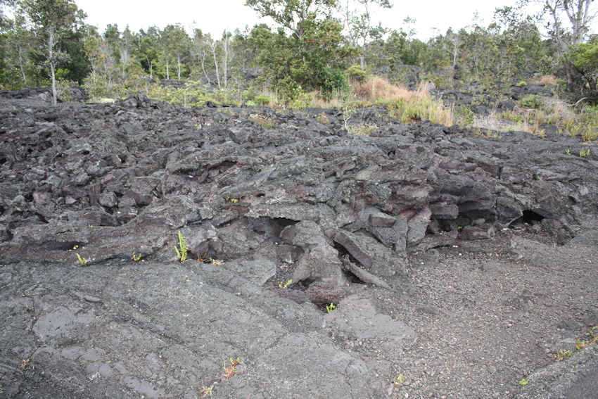 Hawai'i Volcanoes National Park